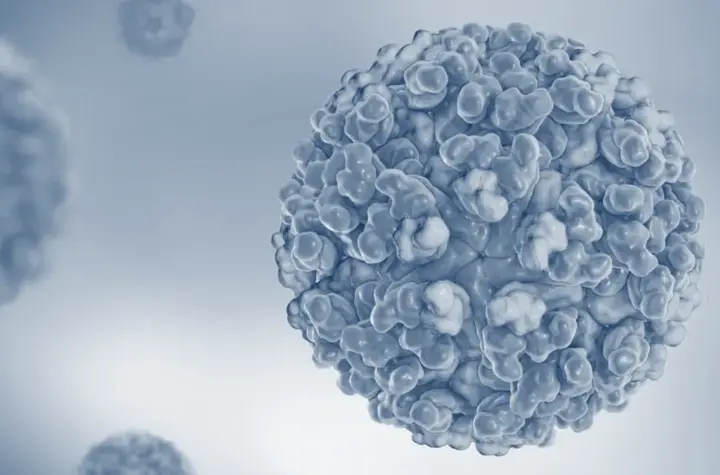 chikungunya — BR news