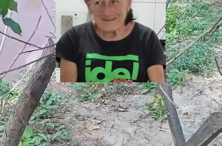 corpo de idosa desaparecida encontrado