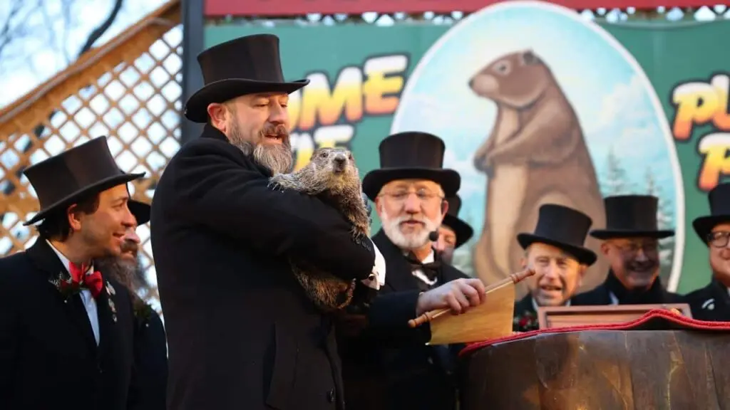 dia da marmota