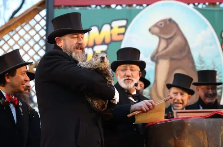 dia da marmota