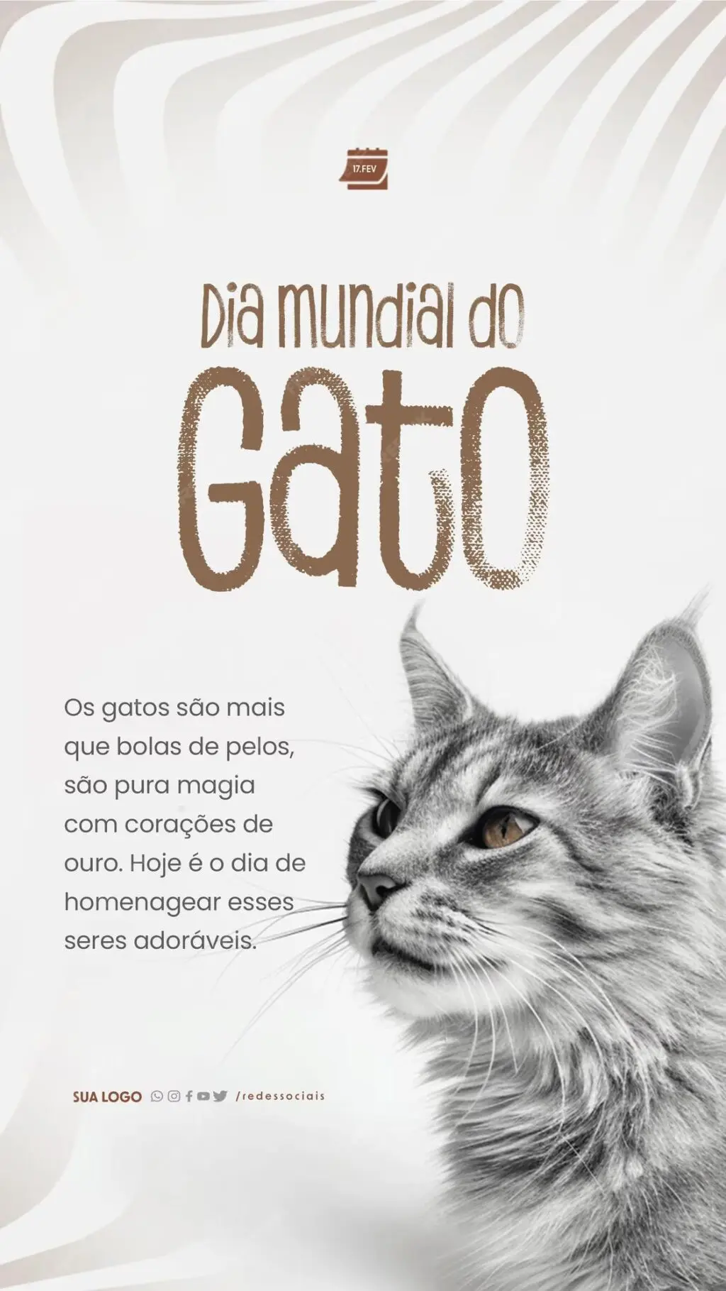 dia mundial do gato