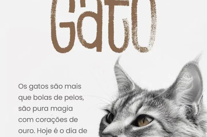 dia mundial do gato