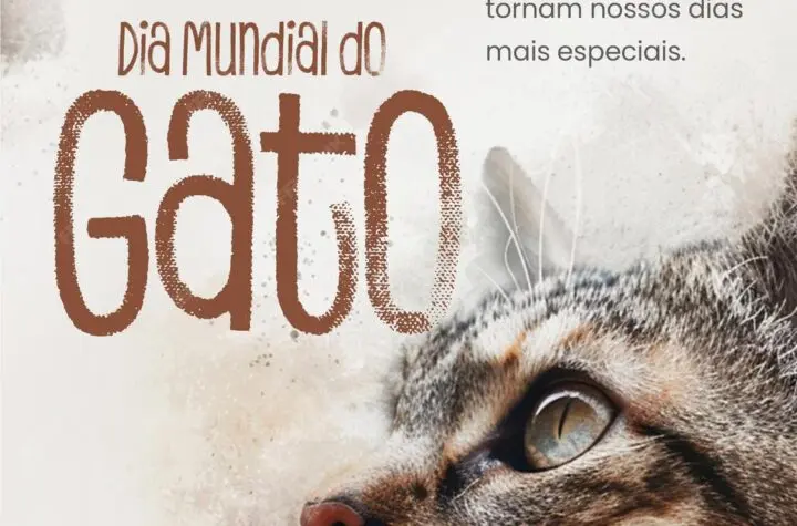 dia mundial do gato