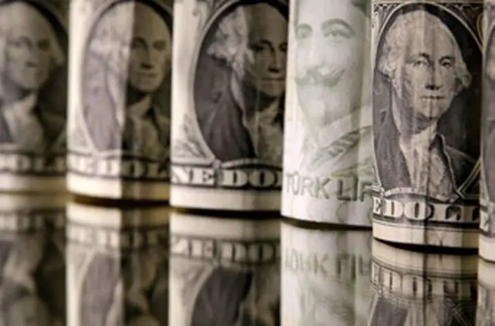 dolar 7