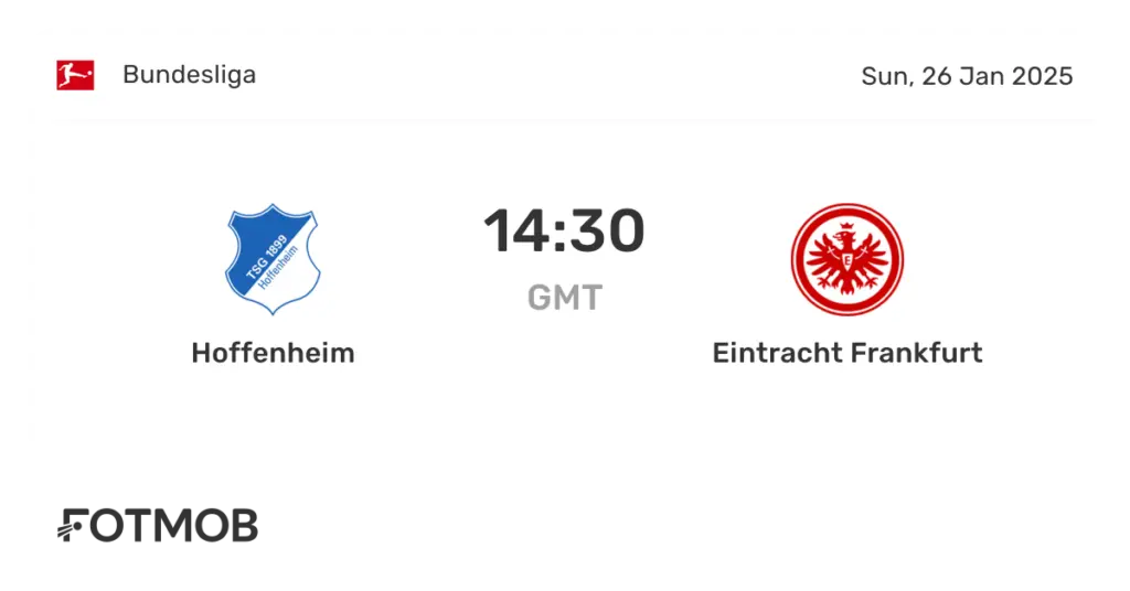 eintracht x hoffenheim