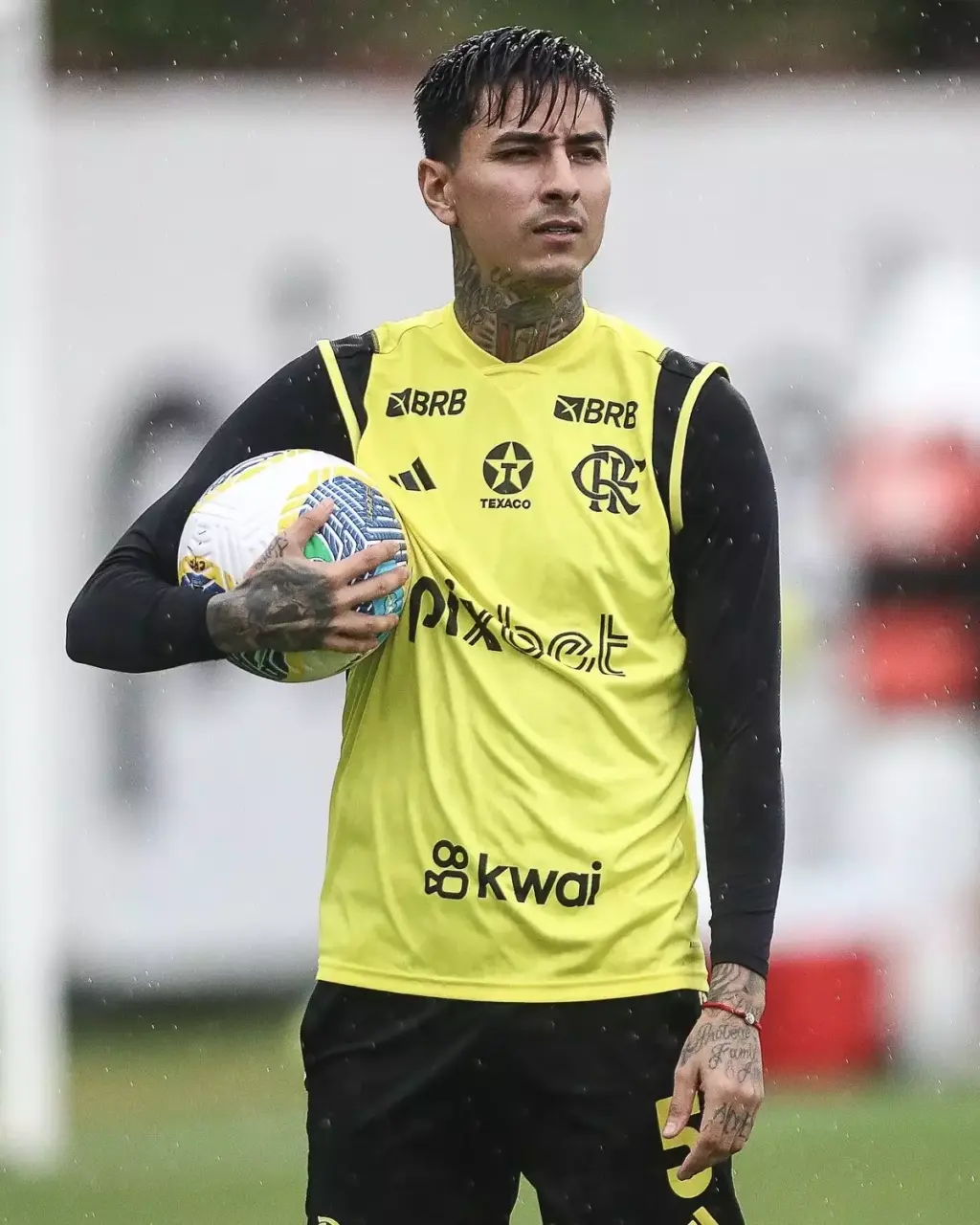 erick pulgar
