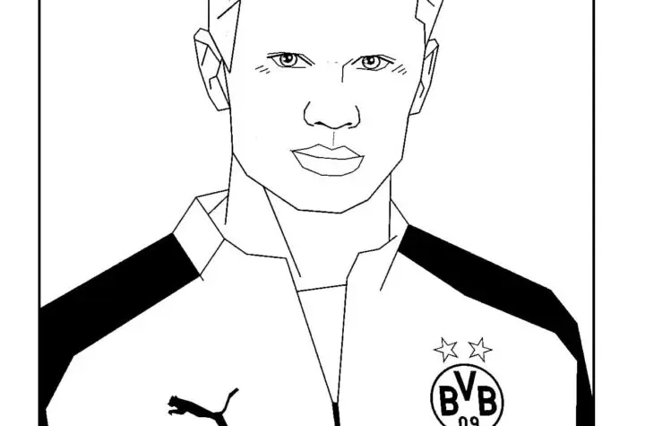 erling haaland