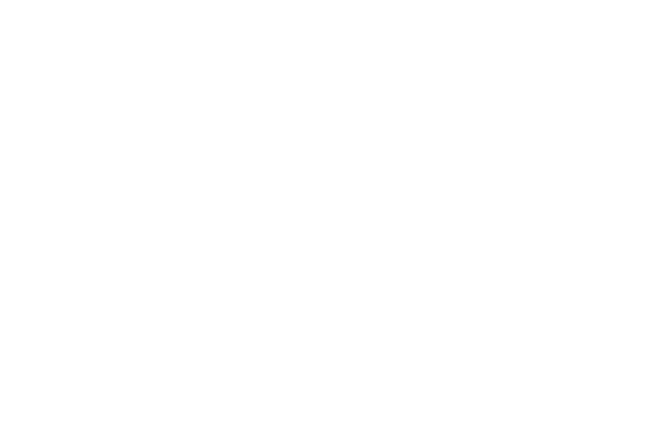 fgv