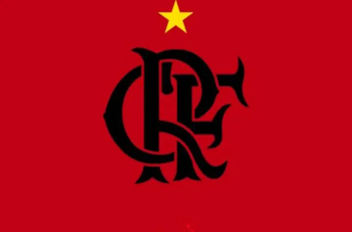 flamengo jogos