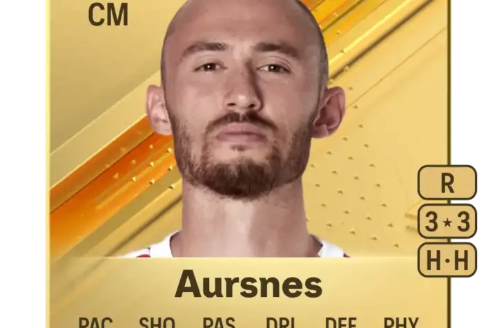 fredrik aursnes