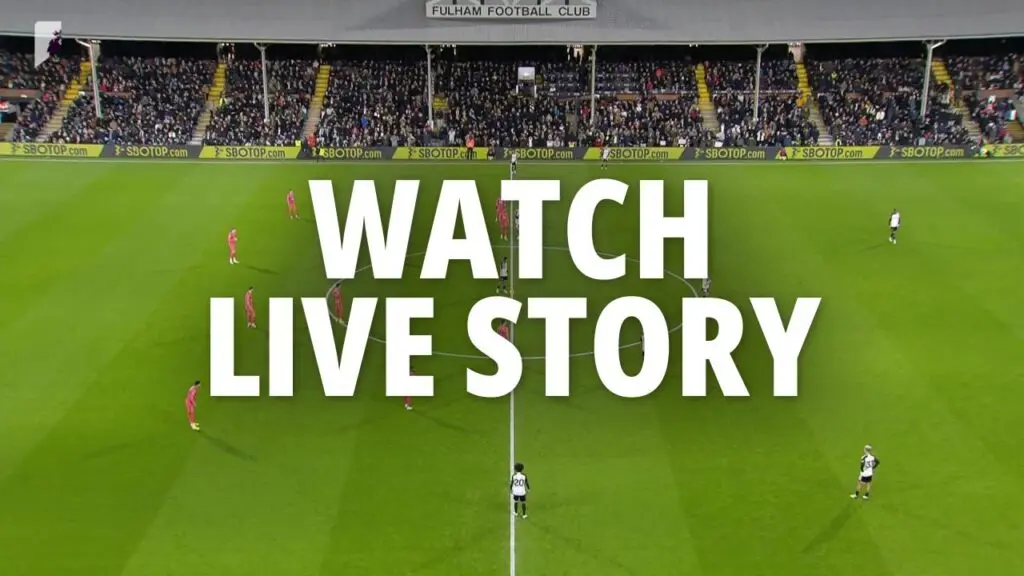 fulham x everton