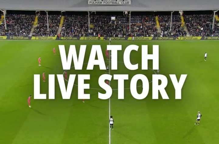 fulham x everton