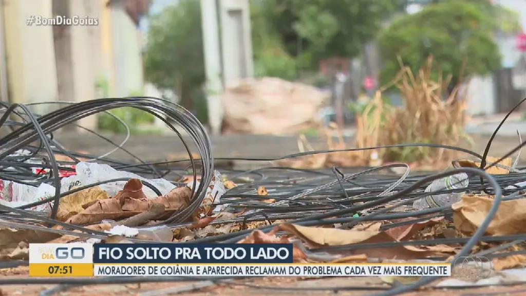 g1 goias