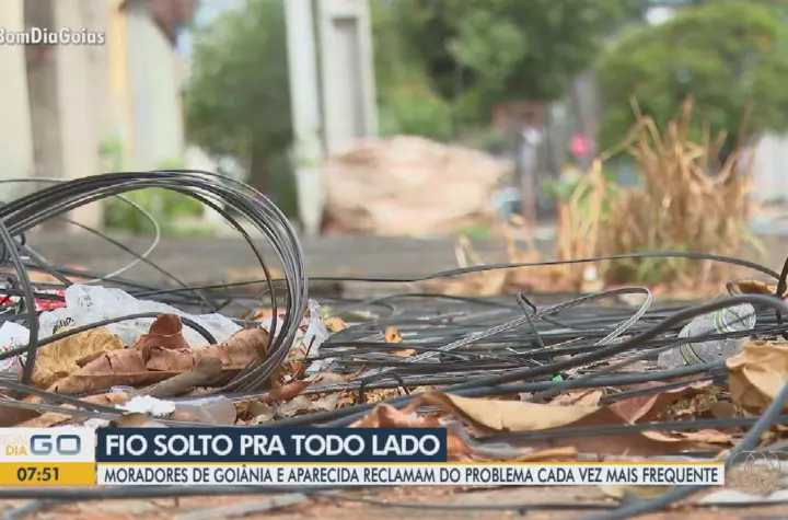 g1 goias