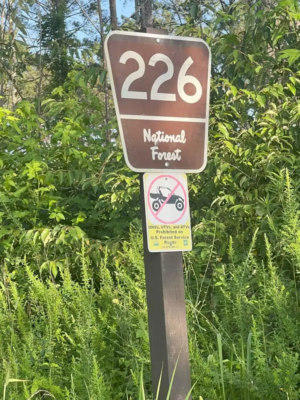 georgia