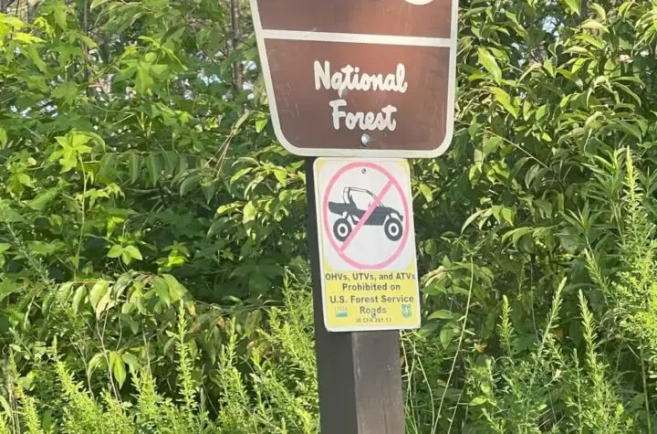 georgia
