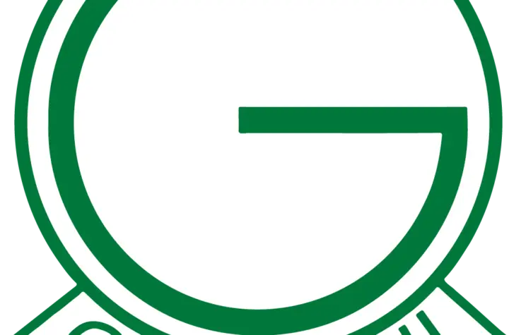 guarani futebol clube