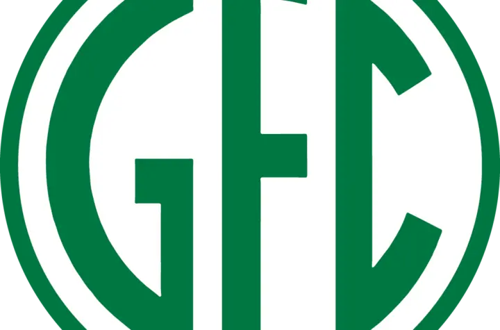 guarani futebol clube
