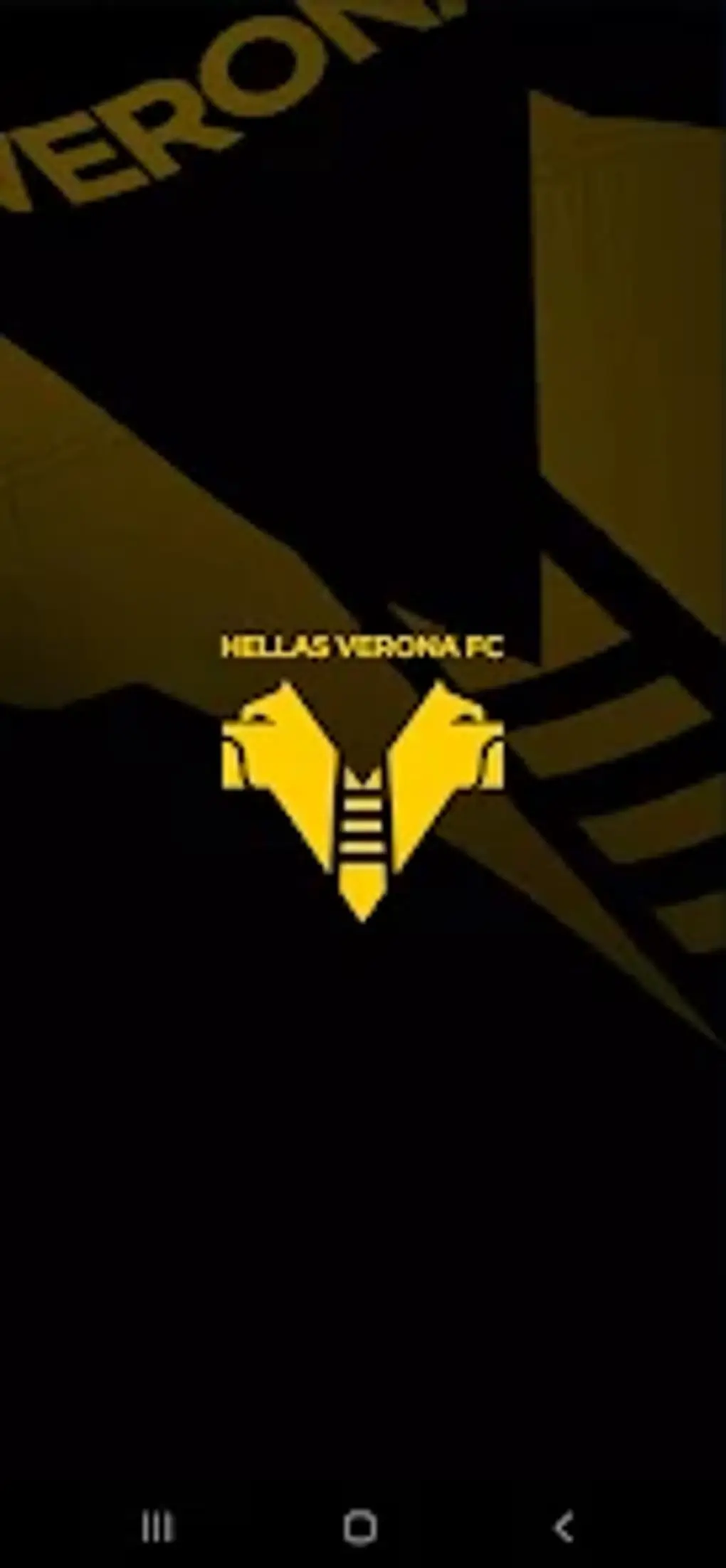 hellas verona