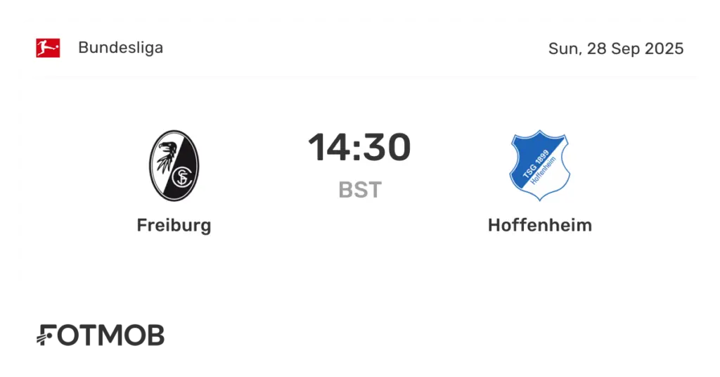 hoffenheim x freiburg