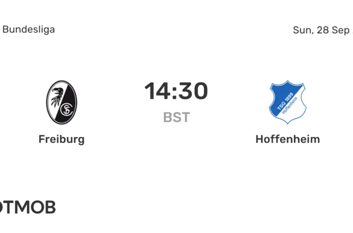hoffenheim x freiburg