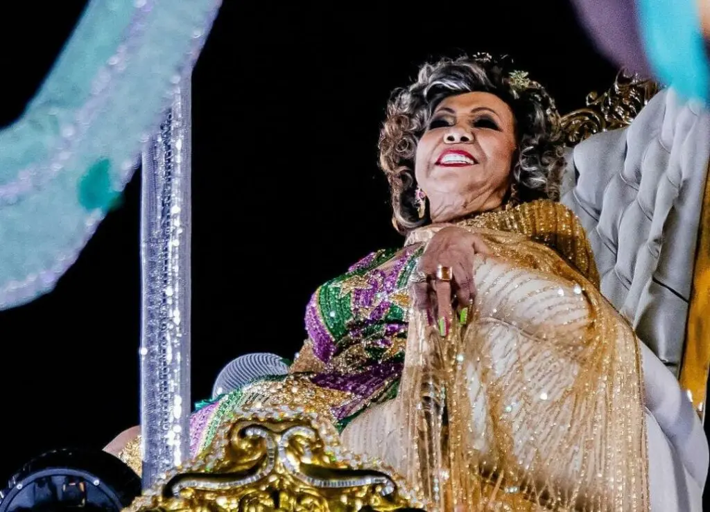 hoje tem desfile de escola de samba