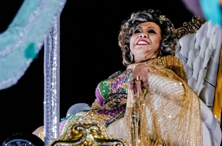 hoje tem desfile de escola de samba