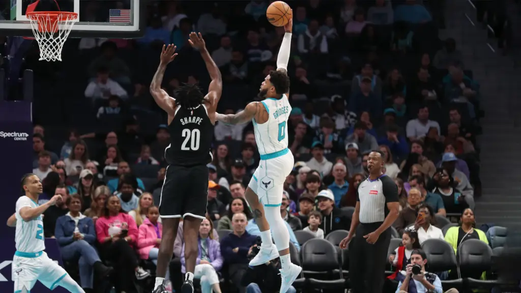 hornets