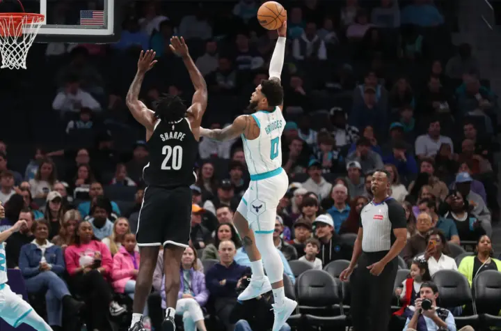 hornets