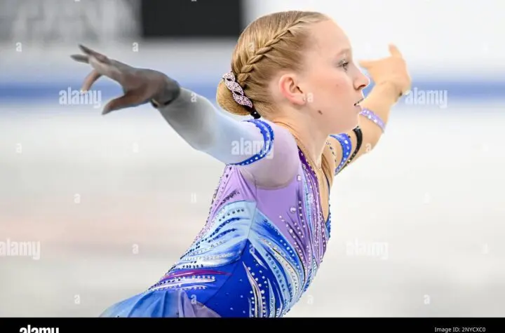 iida karhunen
