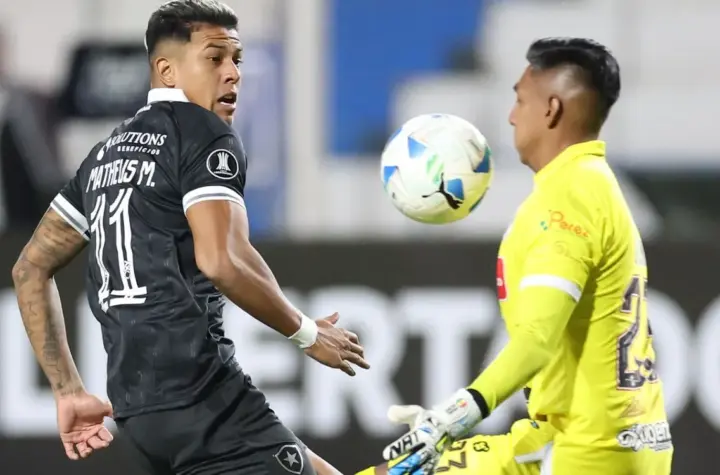 jogo botafogo hoje — BR news