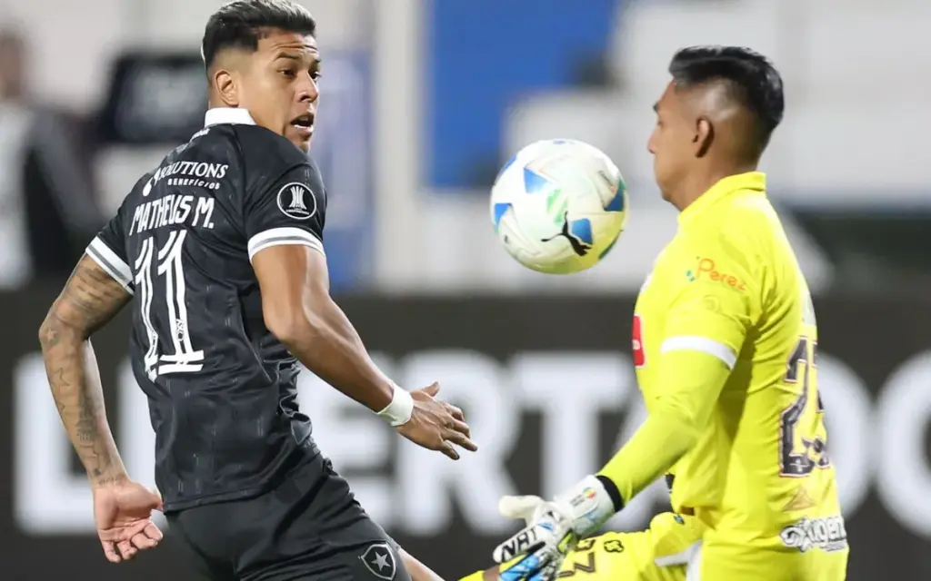 jogo do botafogo — BR news