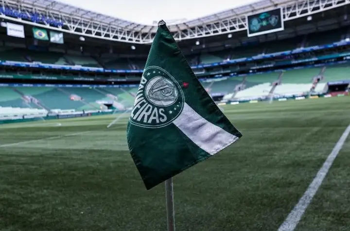 jogo do palmeiras-fluminense — BR news