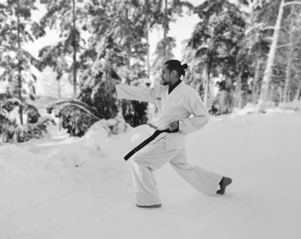 karate combat