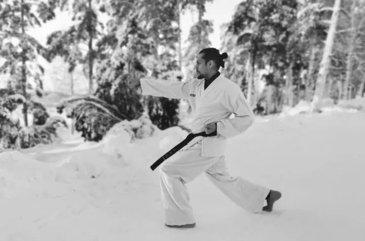 karate combat