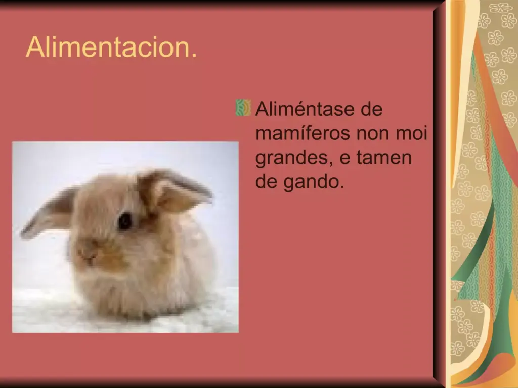 leopardo das neves