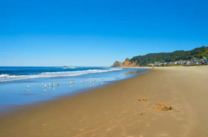 lincoln city