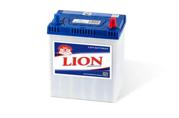 lion