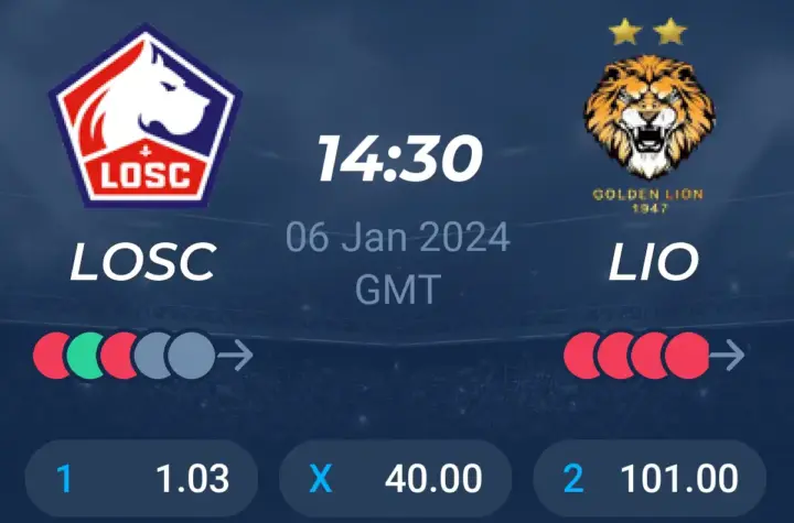 lion fc