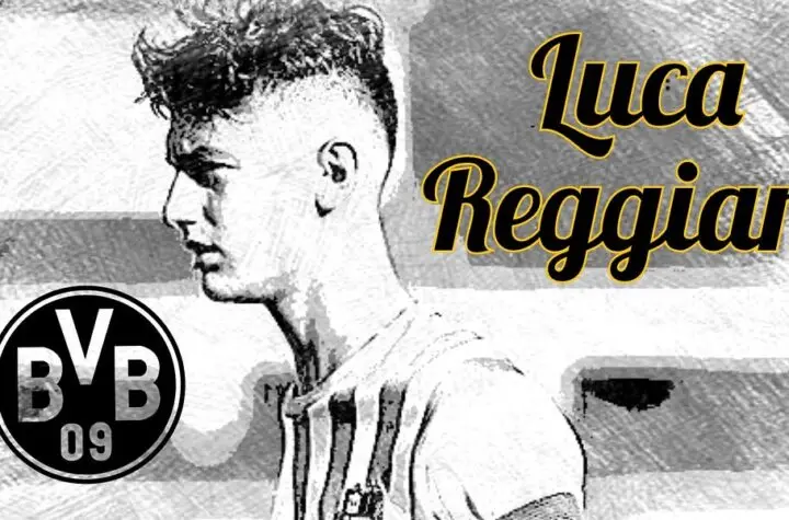 luca reggiani