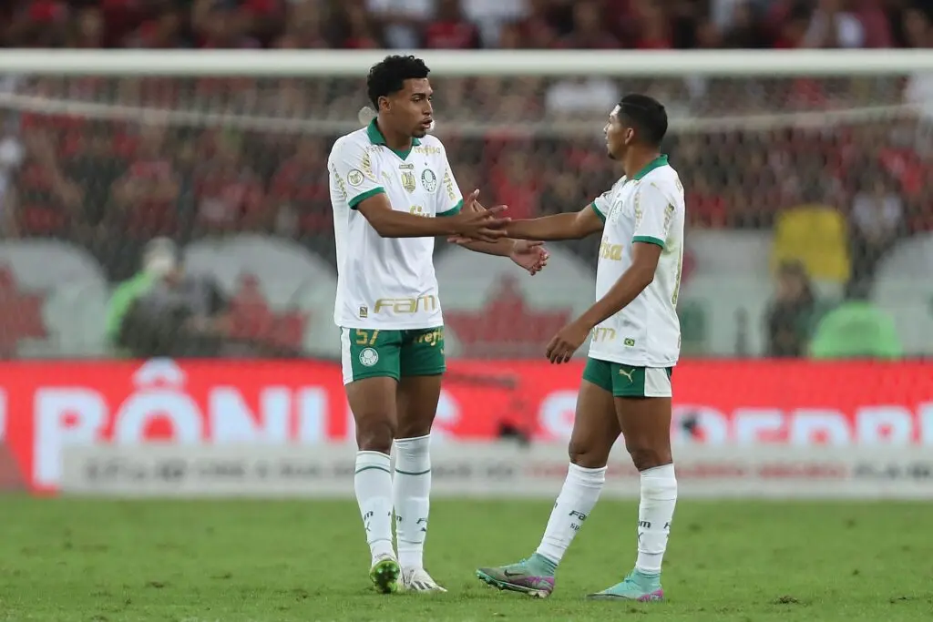 luighi palmeiras