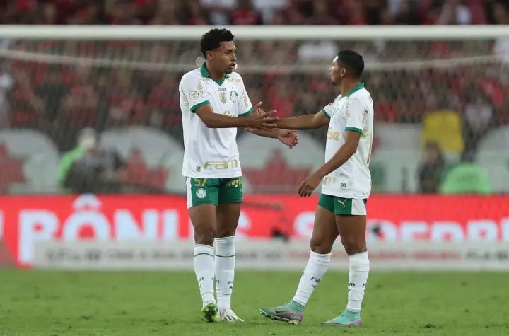 luighi palmeiras