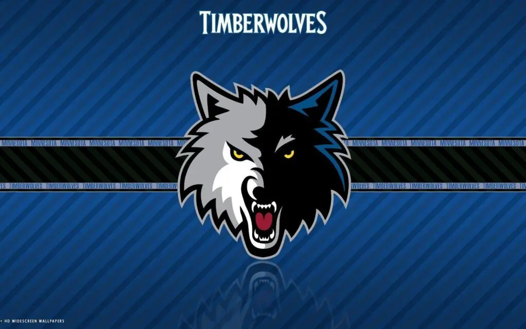 minnesota timberwolves