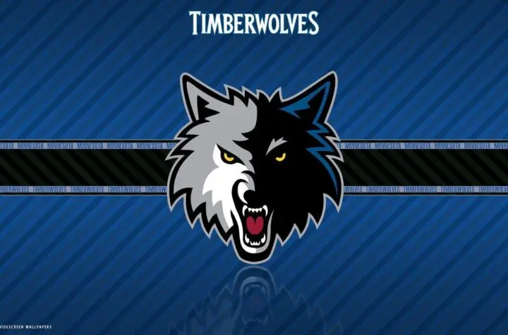 minnesota timberwolves
