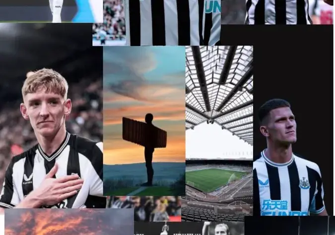 newcastle x qarabağ — BR news
