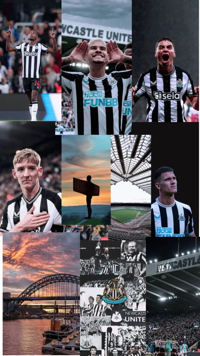 newcastle x qarabağ — BR news