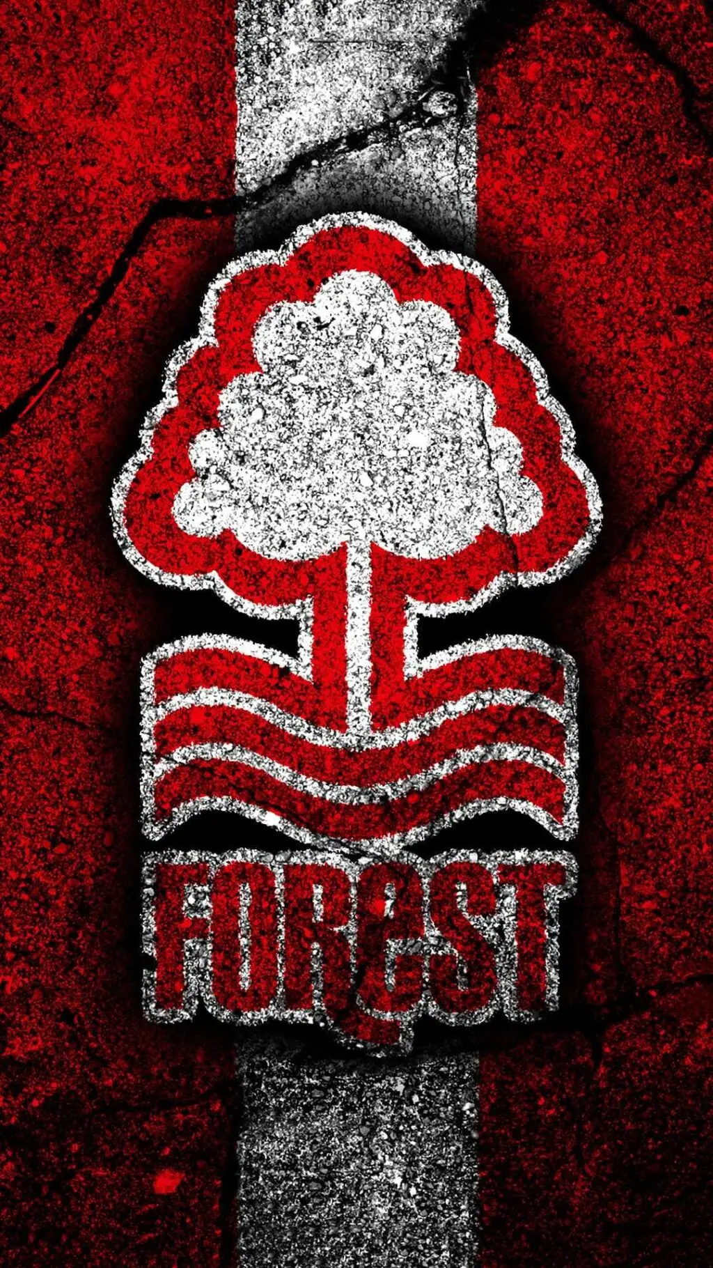 nottingham forest x
