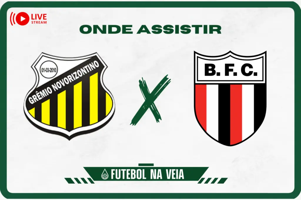 novorizontino x botafogo sp