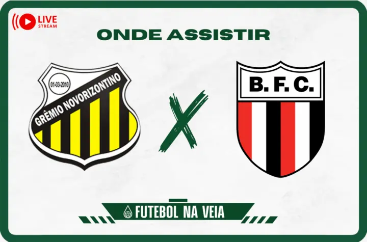 novorizontino x botafogo sp