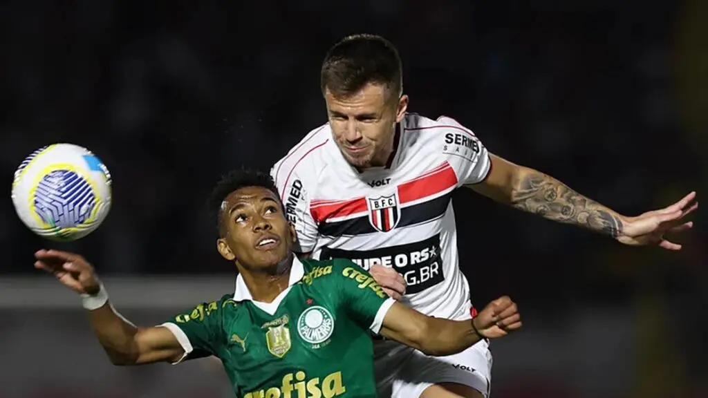 palmeiras x botafogo sp